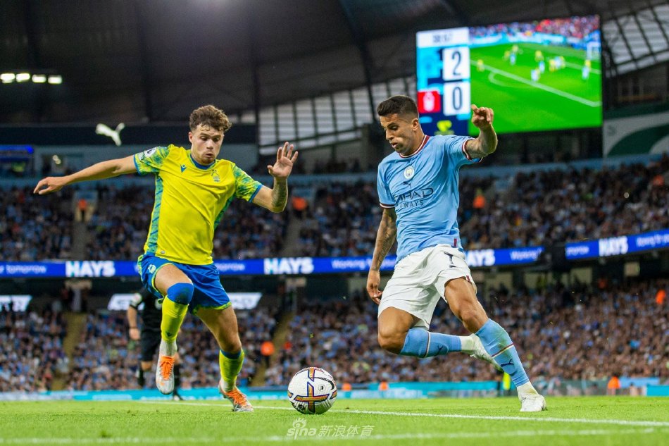 重要原因 重要原因